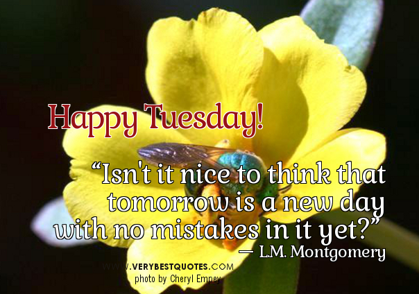 Happy Tuesday Funny Morning Quotes. QuotesGram