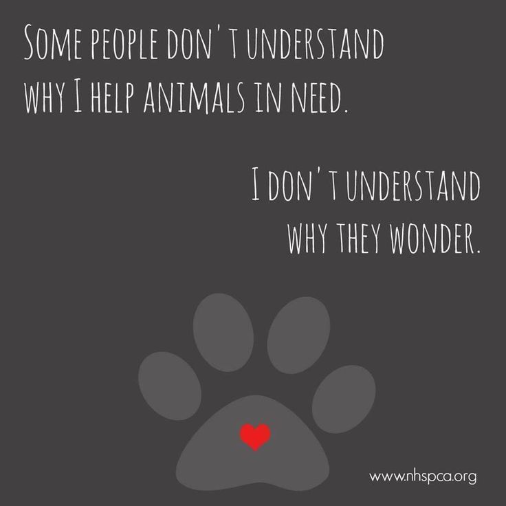 Animal Rescue Quotes And Poems Animal Adoption Quotes And Sayings. Quotesgram Animal Rescue Quotes And Poems Animal Adoption Quotes And Sayings. Quotesgram