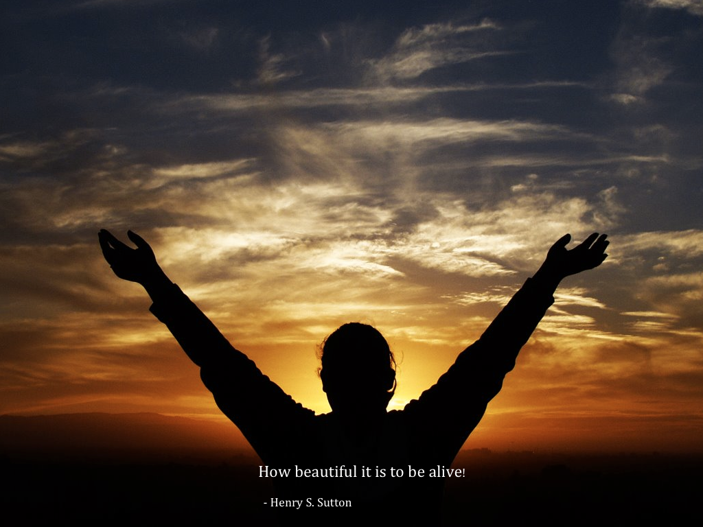 Non Inspirational Quotes. QuotesGram