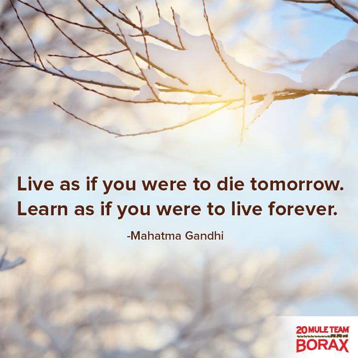 Live As If You Were To Die Tomorrow Quotes Quotesgram