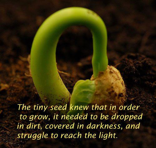 Quotes About Love And Growth. QuotesGram
