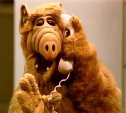 Funny Cat Eating Alf Quotes