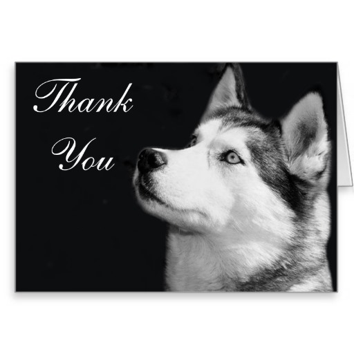 Thank You Dog Quotes. QuotesGram
