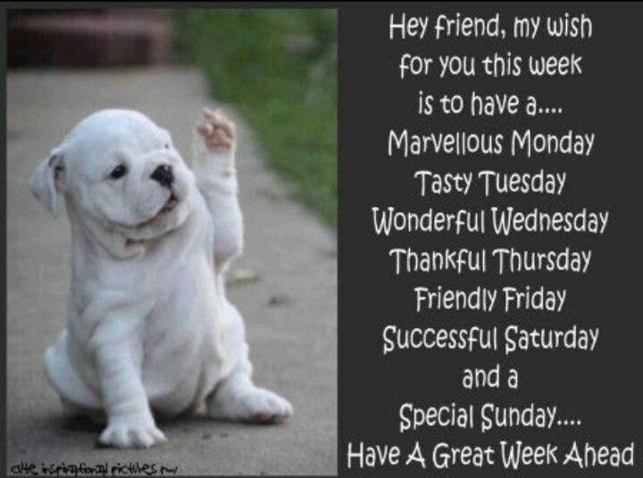 Have A Great Week Quotes QuotesGram