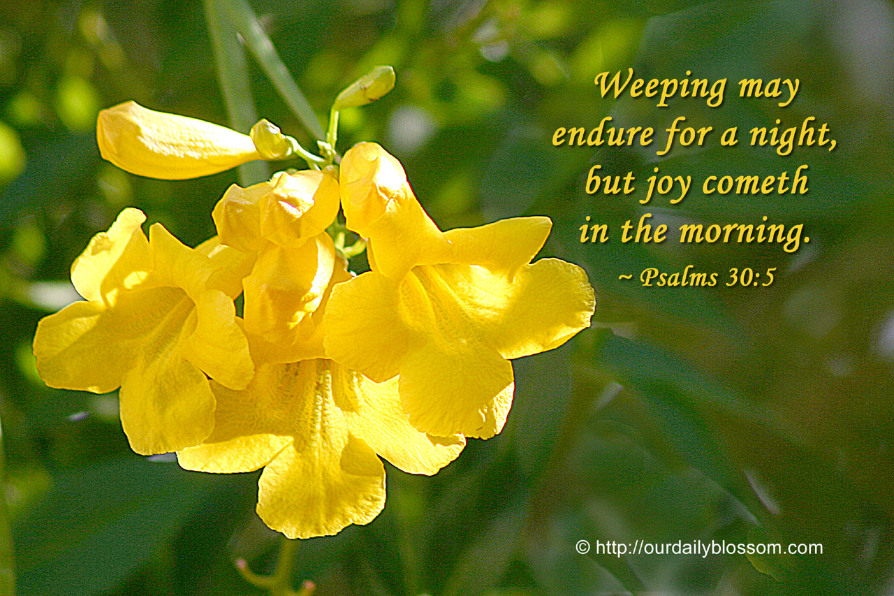Biblical Quotes And Flowers Quotesgram