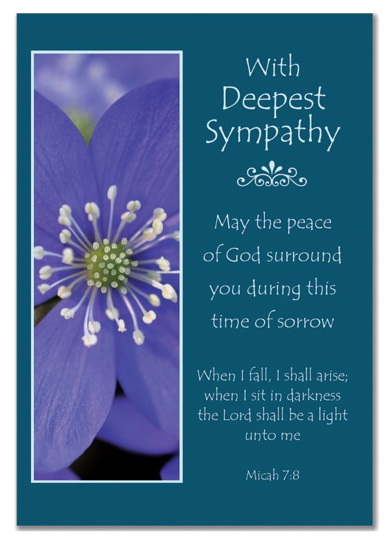 Spiritual Sympathy Quotes Quotesgram Spiritual Sympathy Quotes Quotesgram