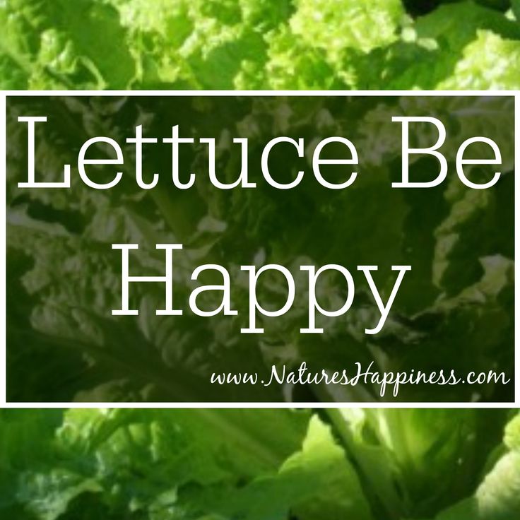 Lettuce Quotes. QuotesGram