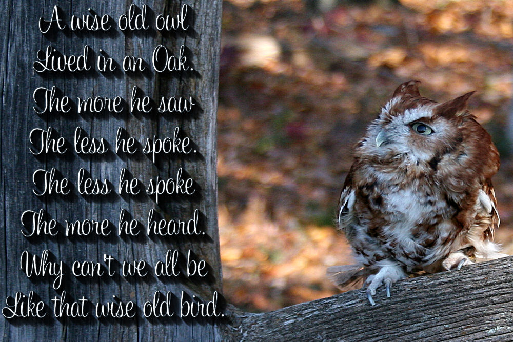Indian Wise Owl Quotes. QuotesGram