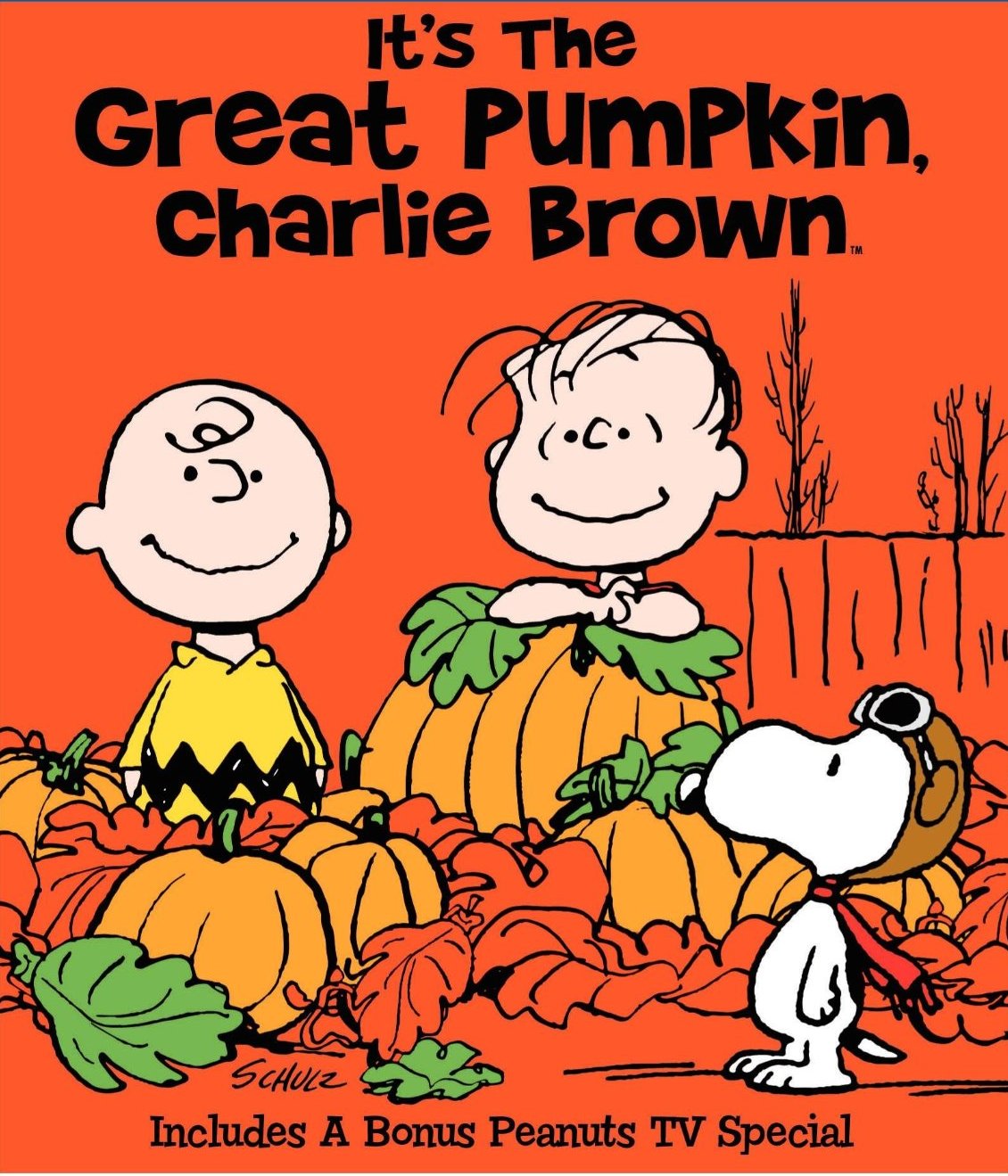 Funny Quotes Charlie Brown. QuotesGram Funny Quotes Charlie Brown. QuotesGram