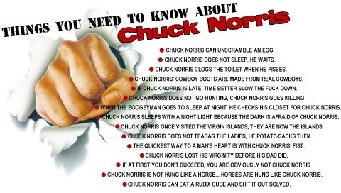 Chuck Norris Quotes 100. QuotesGram