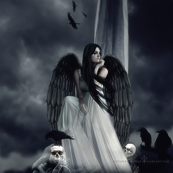 Angel of the dark