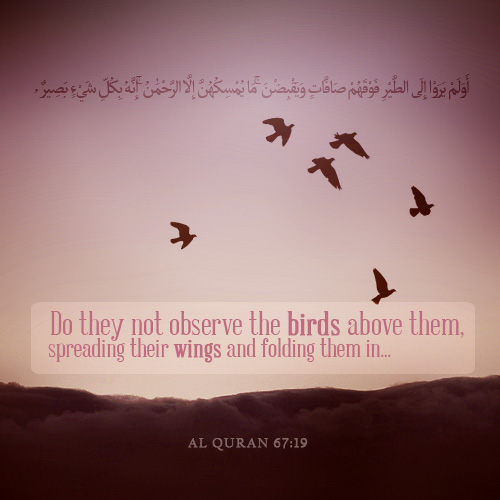 Courage Quotes From The Quran. QuotesGram