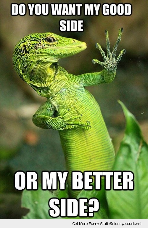 Quotes About Lizards. QuotesGram