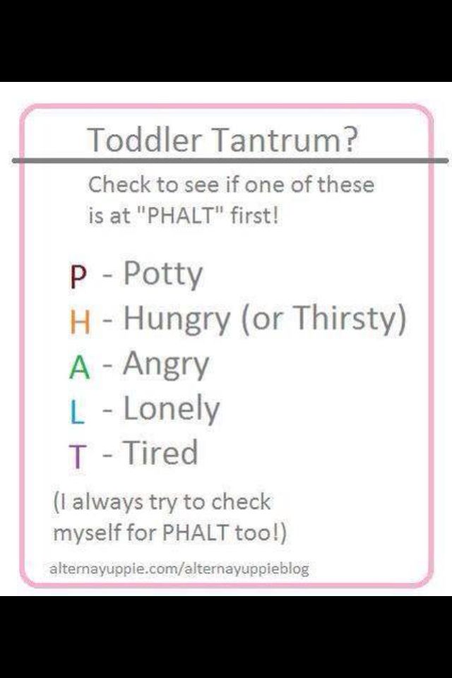 Quotes About Toddler Tantrums. QuotesGram