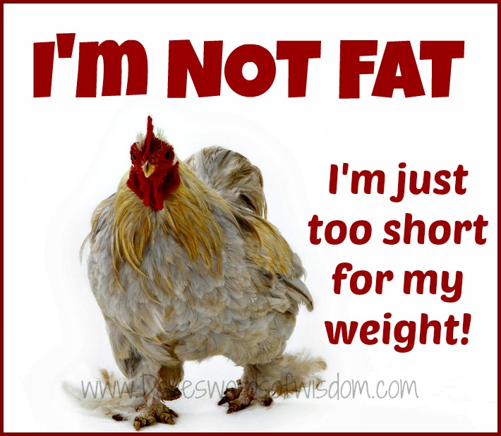 im not fat quotes im not fat quotes