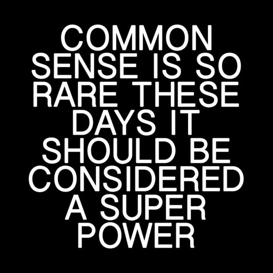 Common Sense Funny Quotes QuotesGram