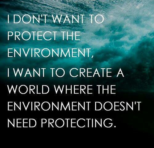 Respect The Environment Quotes. QuotesGram