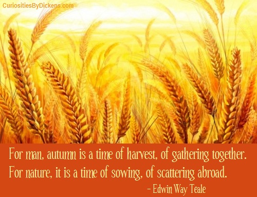 Harvest Time Quotes QuotesGram