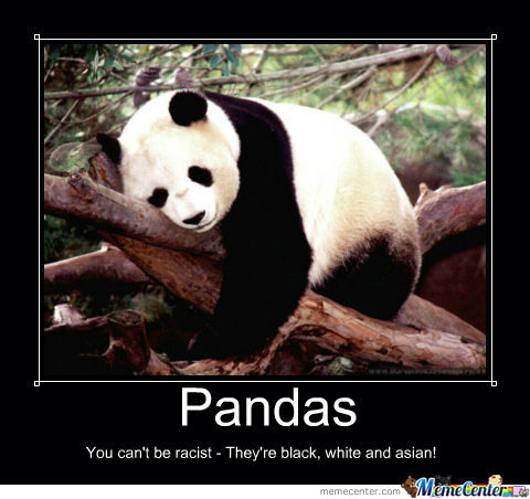 Racist Panda Quotes Quotesgram