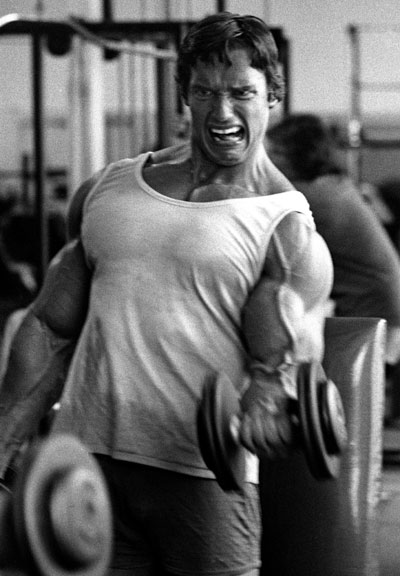 Arnold Muscle Building Quotes. QuotesGram