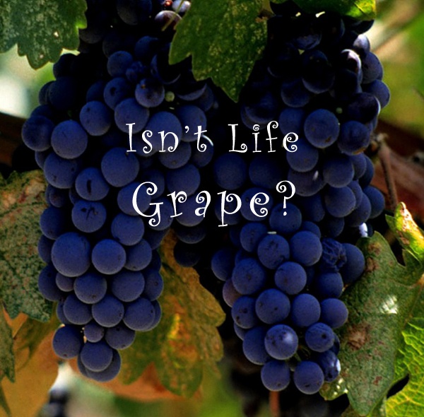 Grape Harvest Quotes. QuotesGram