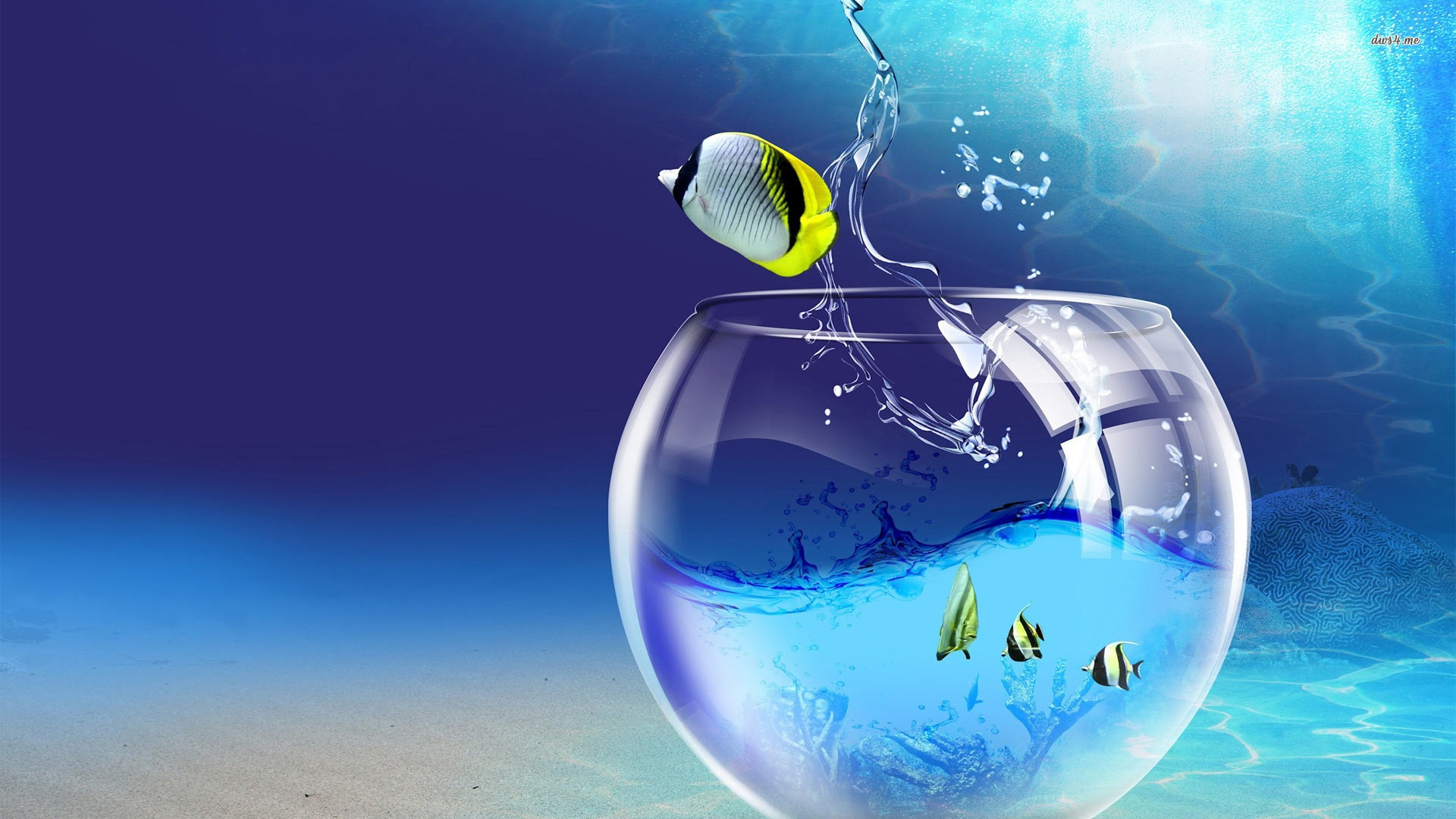 Quotes About Fish Bowls QuotesGram fish-bowl-quotes-quotesgram