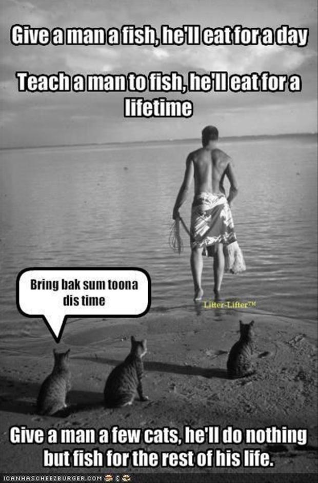 Funny Quotes Two Liner. QuotesGram Funny Quotes Two Liner. QuotesGram