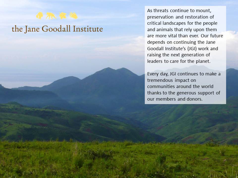 Institute Quotes. QuotesGram