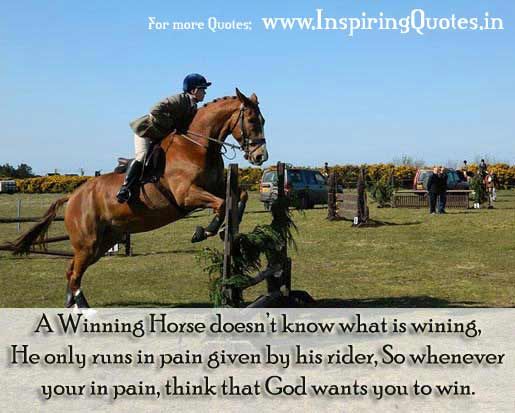 Sportsmanship And Sayings Horse Quotes. QuotesGram