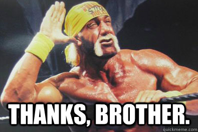 Hulk Hogan Quotes Brother Hulk Hogan Brother Quotes. Quotesgram