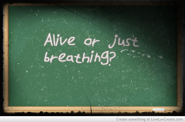 Questioning Love Quotes. QuotesGram