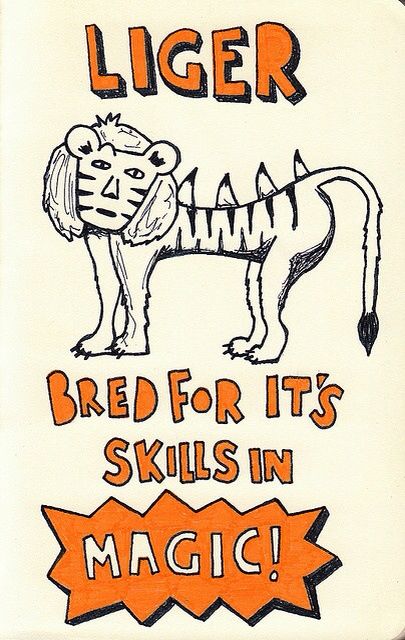 Napoleon Dynamite Liger Quote Youtube Napoleon Dynamite Quotes. Quotesgram