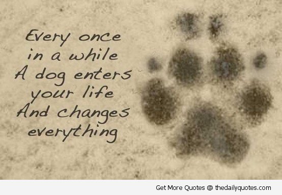 Dog Loyalty Quotes QuotesGram