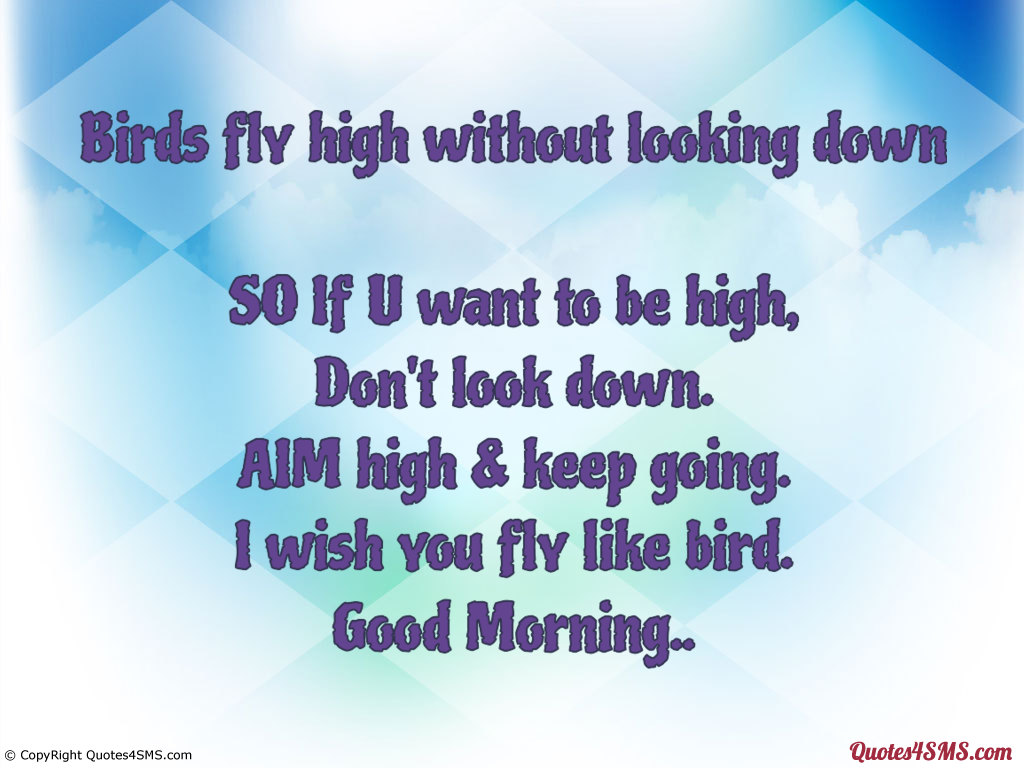Quotes About Flying High Quotesgram