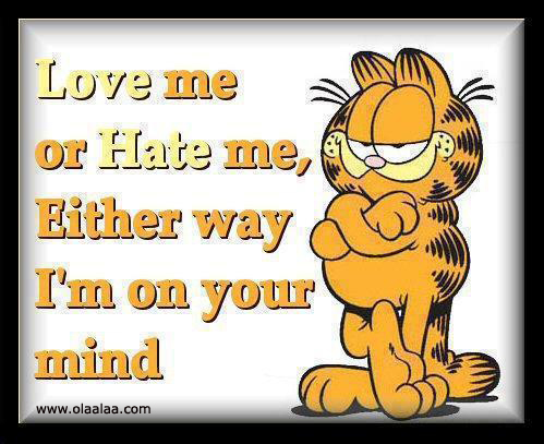 Funny Love Quotes Hate. QuotesGram