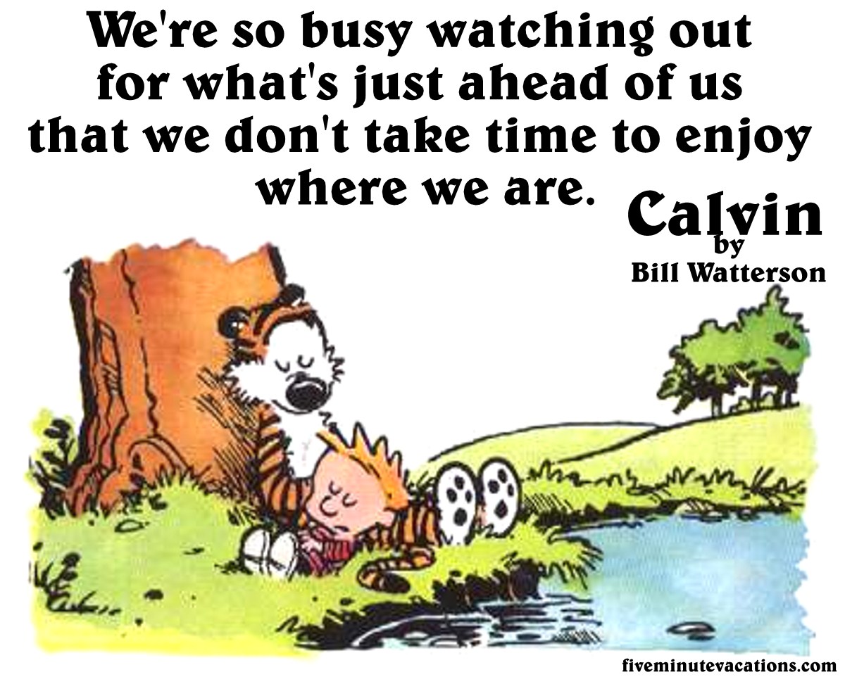 Calvin And Hobbes Weekend Quotes. QuotesGram