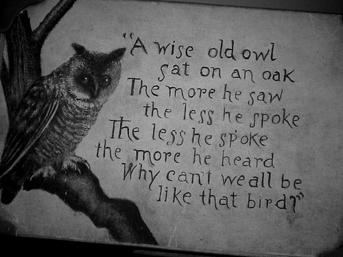  Owl  Quotes  About Life QuotesGram