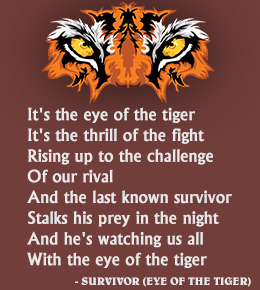 Tiger Spirit Quotes. QuotesGram