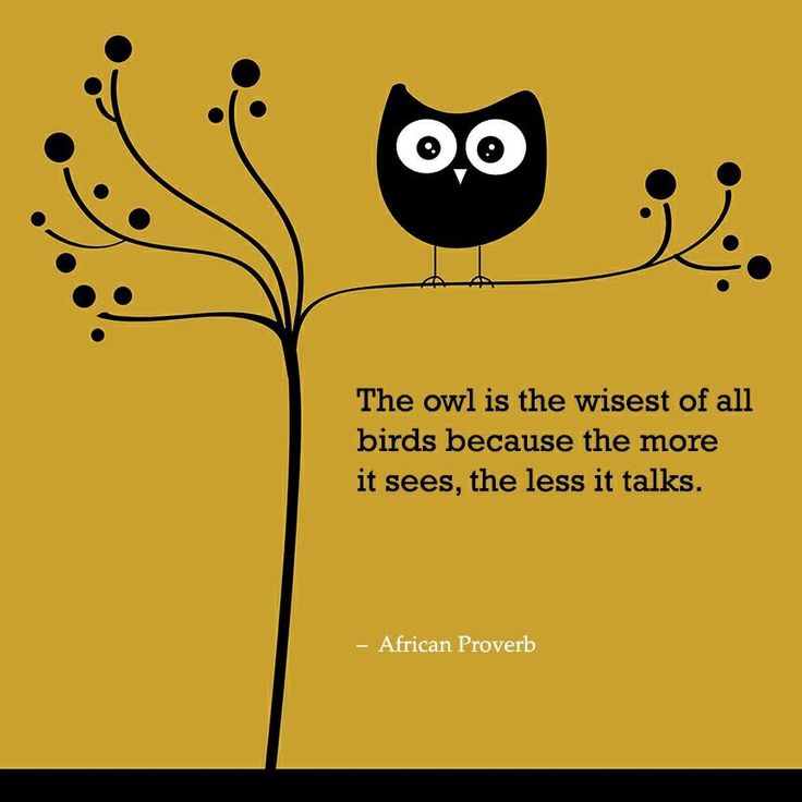 Famous Owl Quotes. QuotesGram