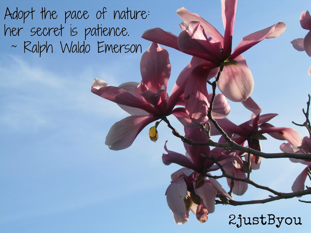 Famous Quotes About Nature. QuotesGram