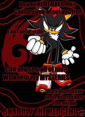 Shadow The Hedgehog Quotes QuotesGram Shadow The Hedgehog Quotes QuotesGram