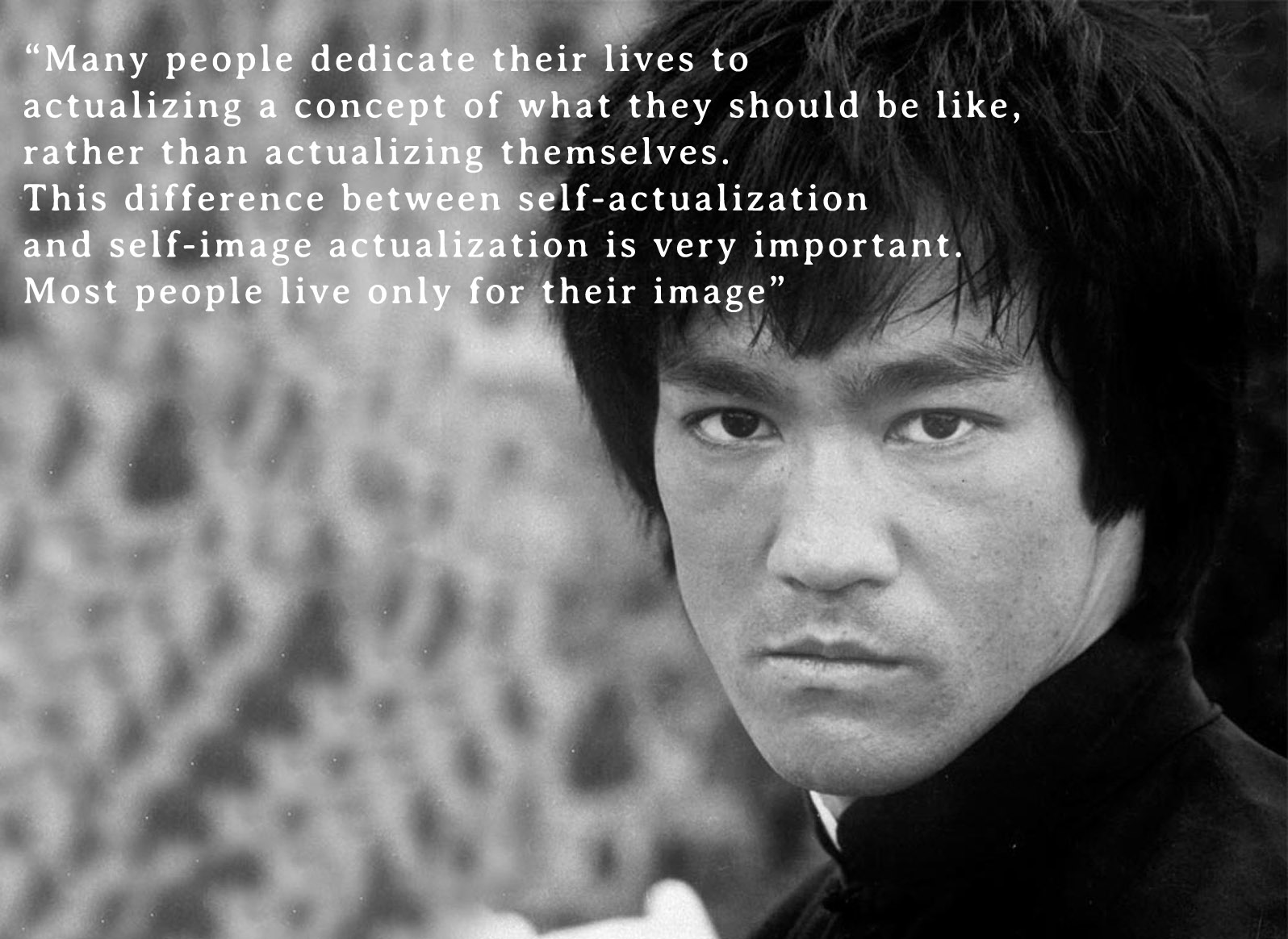 Love Bruce Lee Quotes. QuotesGram