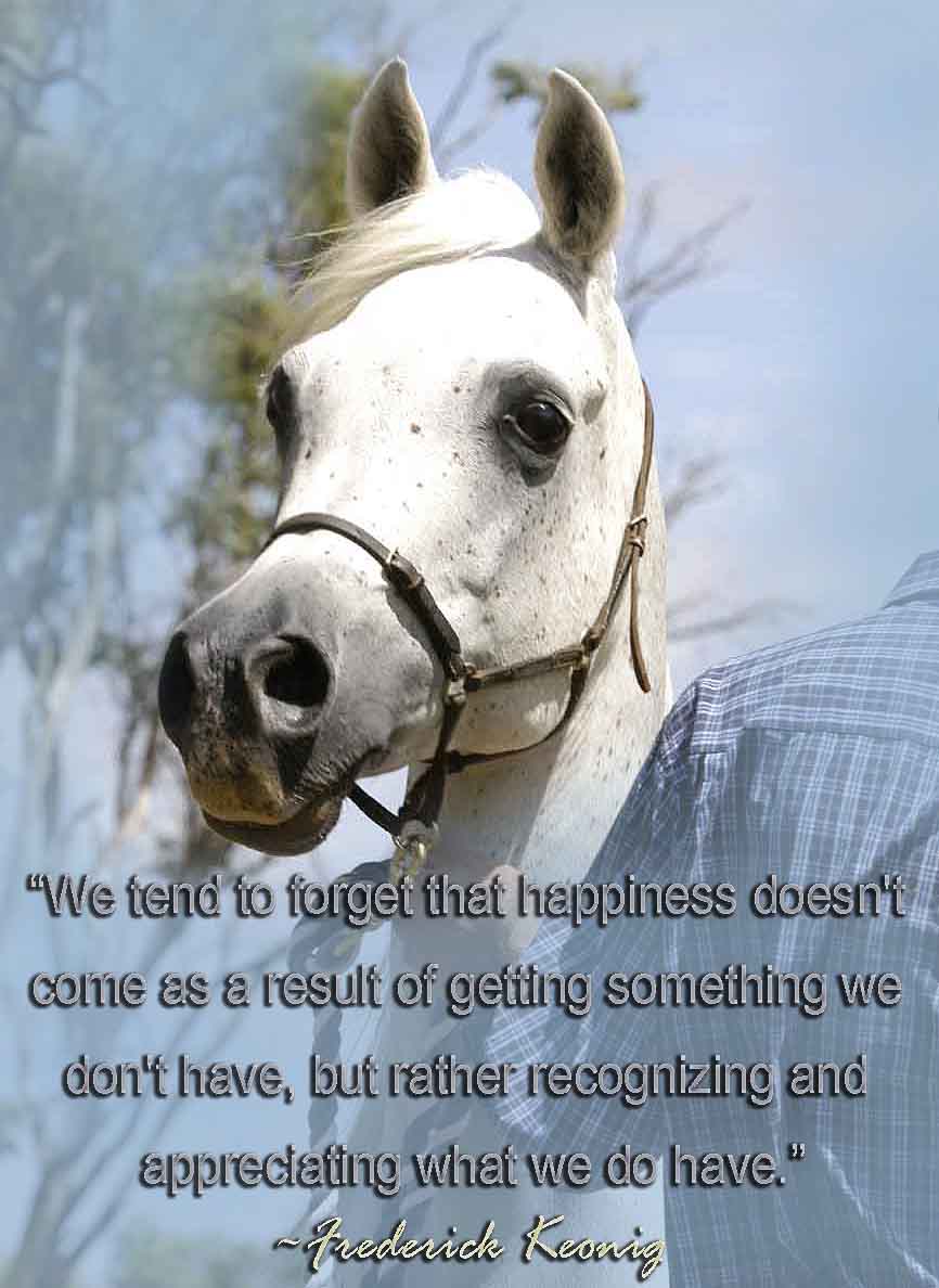 Quotes About Happiness And Horses. QuotesGram
