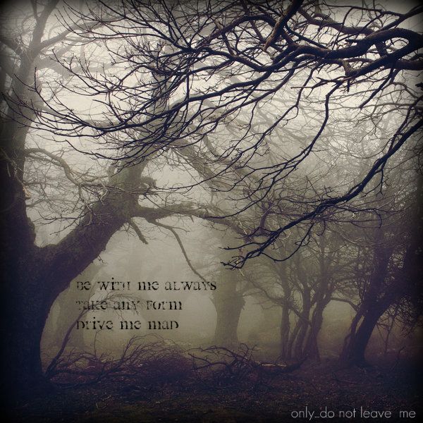 Joseph Quotes From Wuthering Heights. QuotesGram