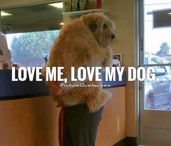 Me And My Dog Quotes. QuotesGram