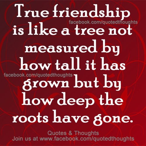 Friends Are Like Trees Quotes. QuotesGram