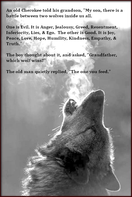 The One You Feed Quote Feed The Wolf Love Quotes. Quotesgram The One You Feed Quote Feed The Wolf Love Quotes. Quotesgram
