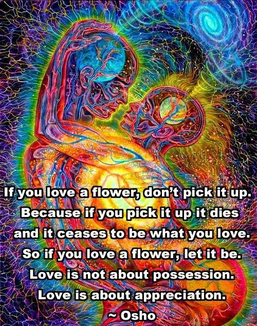 Alex Grey Quotes On Love. QuotesGram