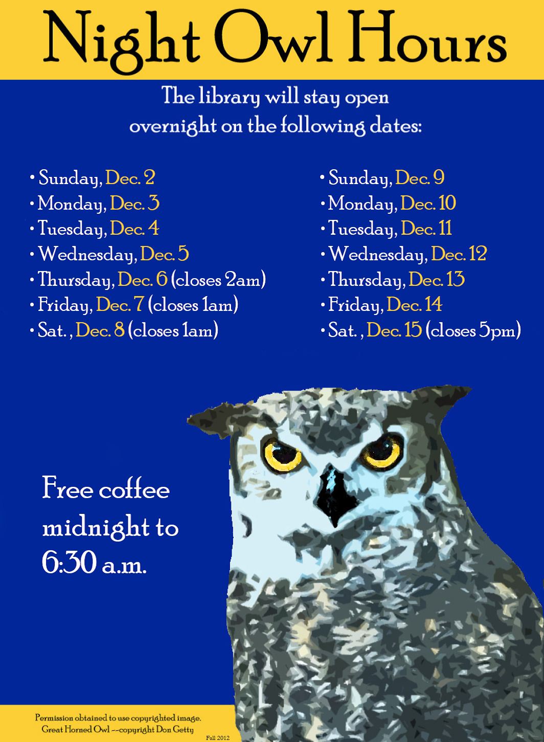 night owl person meaning night owl person meaning