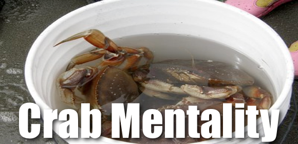 photo Quotes Crabs In A Bucket Meme king mentality quotes quotesgram